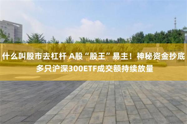 什么叫股市去杠杆 A股“股王”易主！神秘资金抄底 多只沪深300ETF成交额持续放量