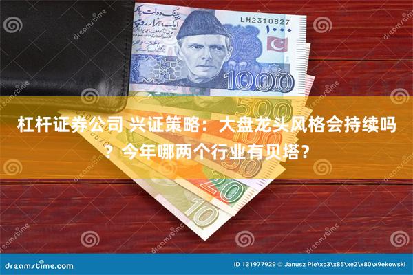 杠杆证券公司 兴证策略：大盘龙头风格会持续吗？今年哪两个行业有贝塔？